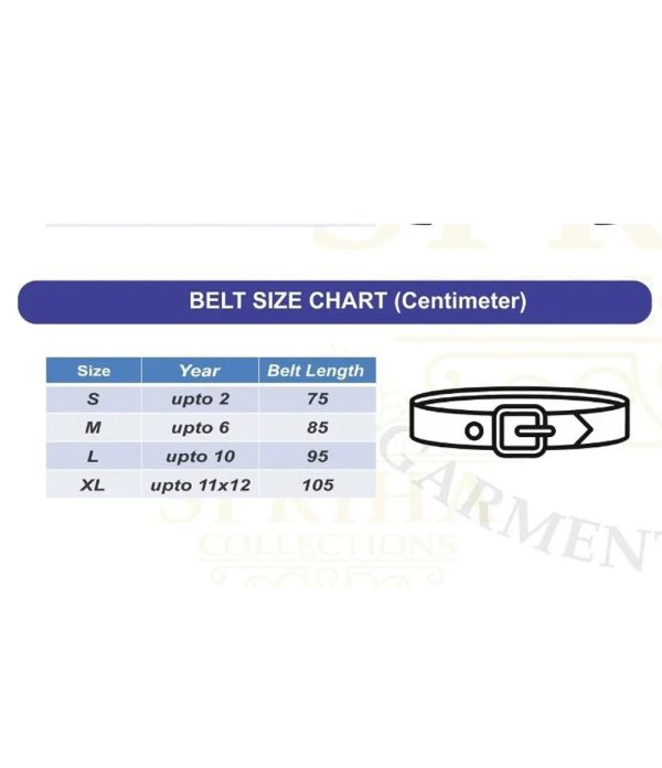 Vignan School Belt - Image 2